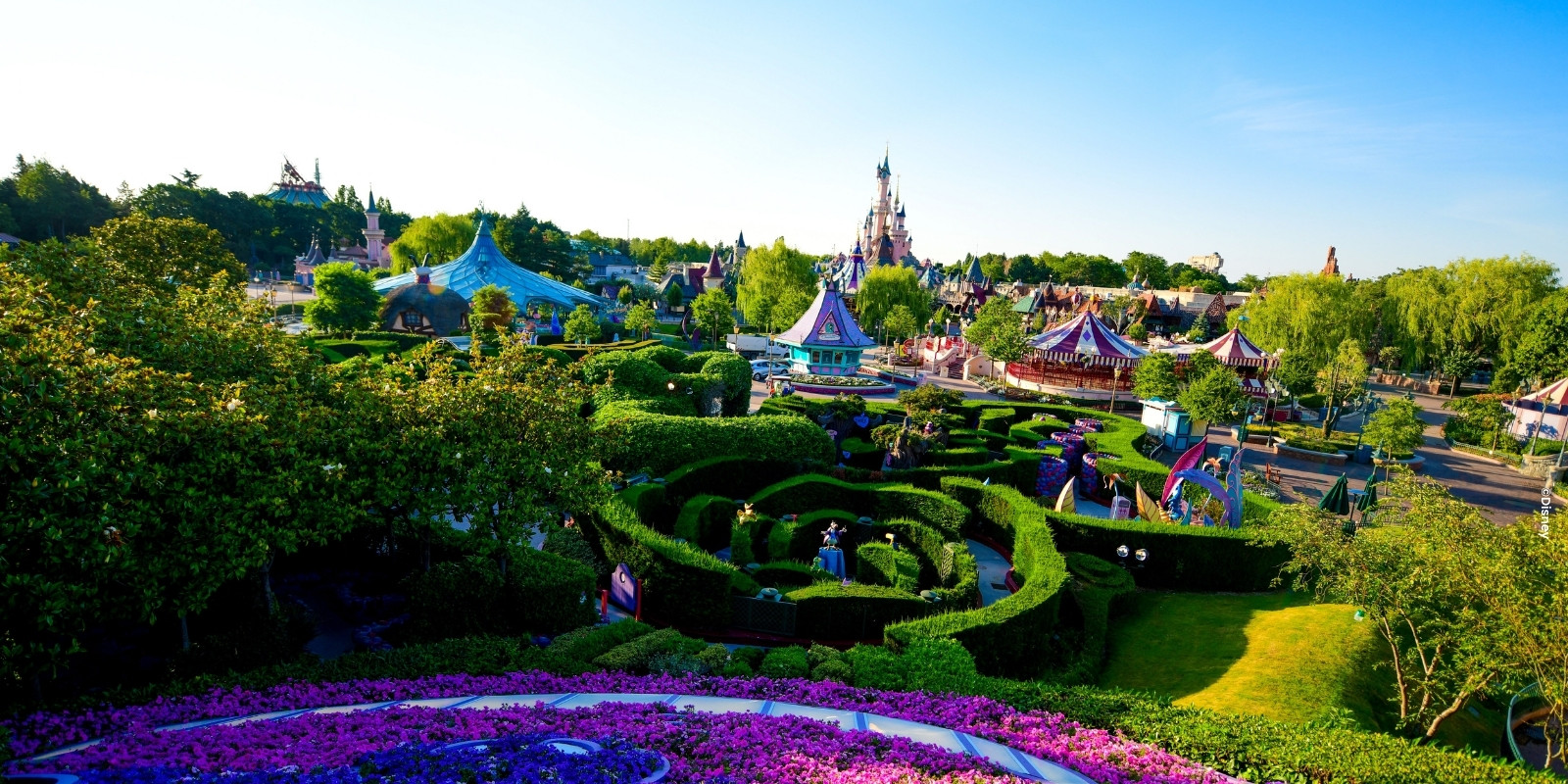 Grüne Hecken und rosafarbene Blumen im Labyrinth von Fantasyland mit Blick auf das Schloss