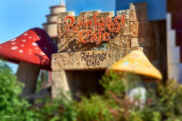 Rainforest Cafe Rainforest Cafe von außen. sensationelle Dschungelatmosphäre. Das Rainforest Café ist nicht nur ein sehr populäres Restaurant im Disney Village, auch an vielen weiteren Standorten in den USA. Schon beim Eintritt in das Restaurant wirst du das Gefühl haben, auf eine wahrhaftige Expedition zu gehen. Entdecke Tiere aus dem Dschungel, höre die unzähligen Geräusche und lasse dich von einem besonderen Essen mit typisch amerikanischen Spezialitäten begeistern.