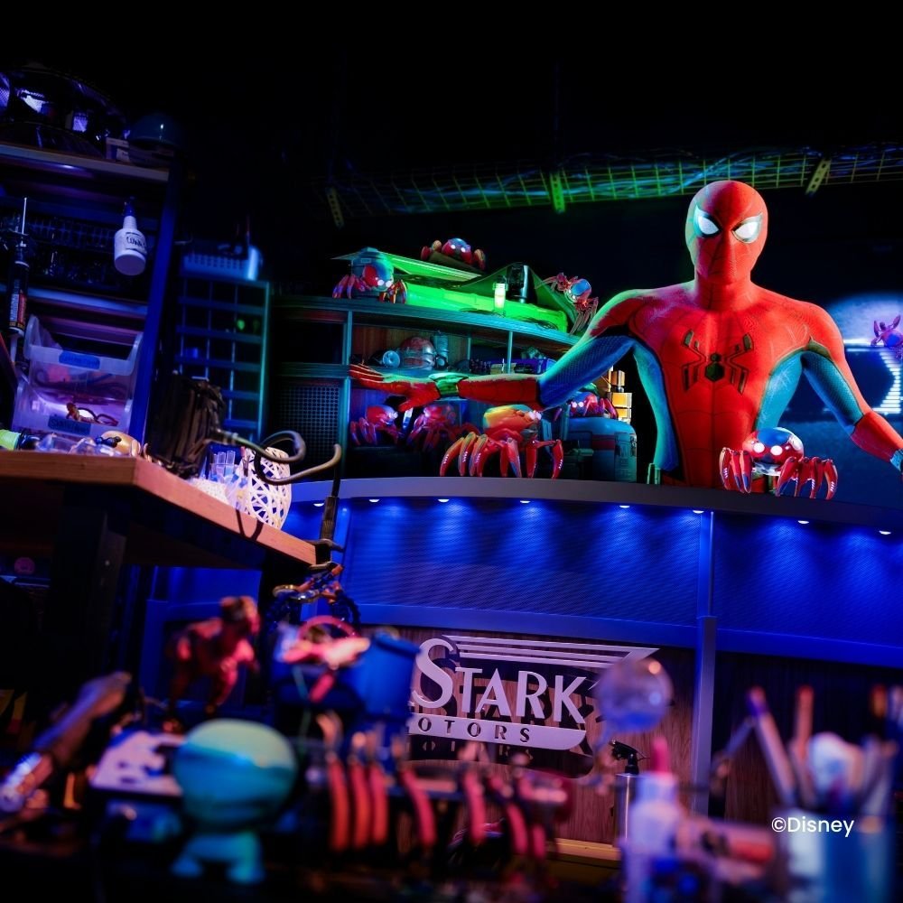 Spiderman W.E.B Adventure Attraktion