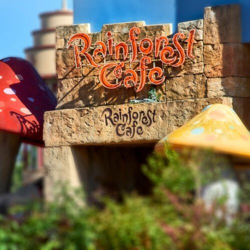 8 Eingang Rainforest Cafe mit roten und gelben Pilzen